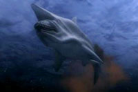 Is that supposed to be a shark in 'Malibu Shark Attack'? Apparently