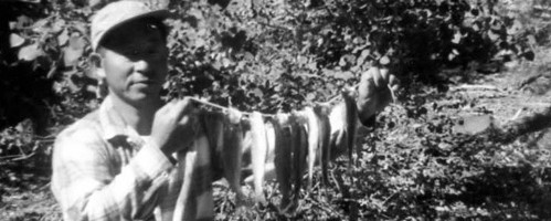 ‘The Manzanar Fishing Club’ tells amazing tale