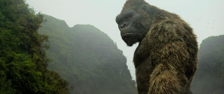 Book a cruise to ‘Kong: Skull Island’ – It is an E-ticket ride