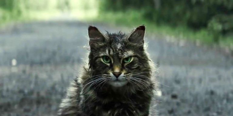 ‘Pet Sematary’ should have remained dead